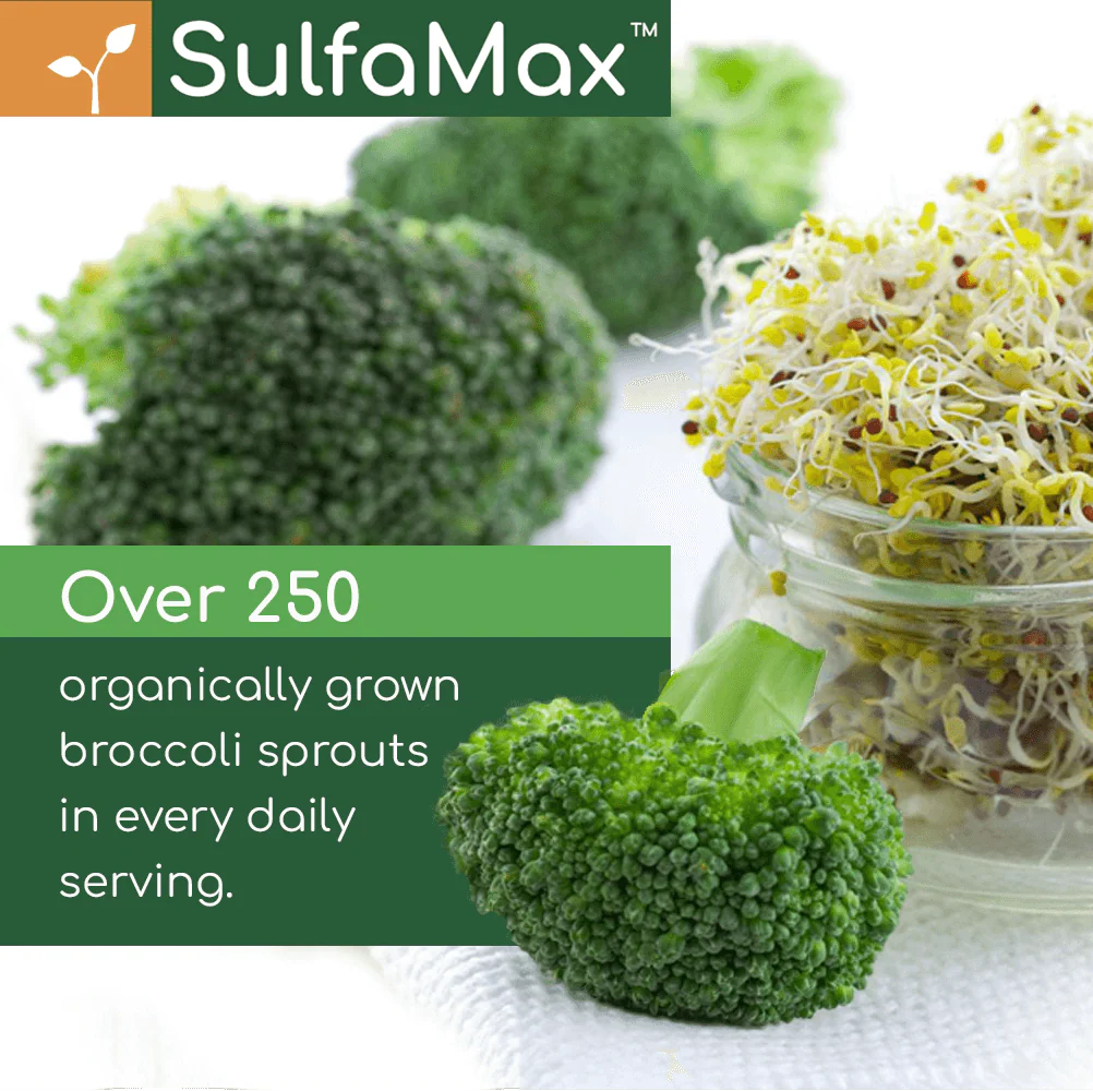 SulfaMax™ Organic Sulforaphane Supplement 1 Month Supply - Image 8