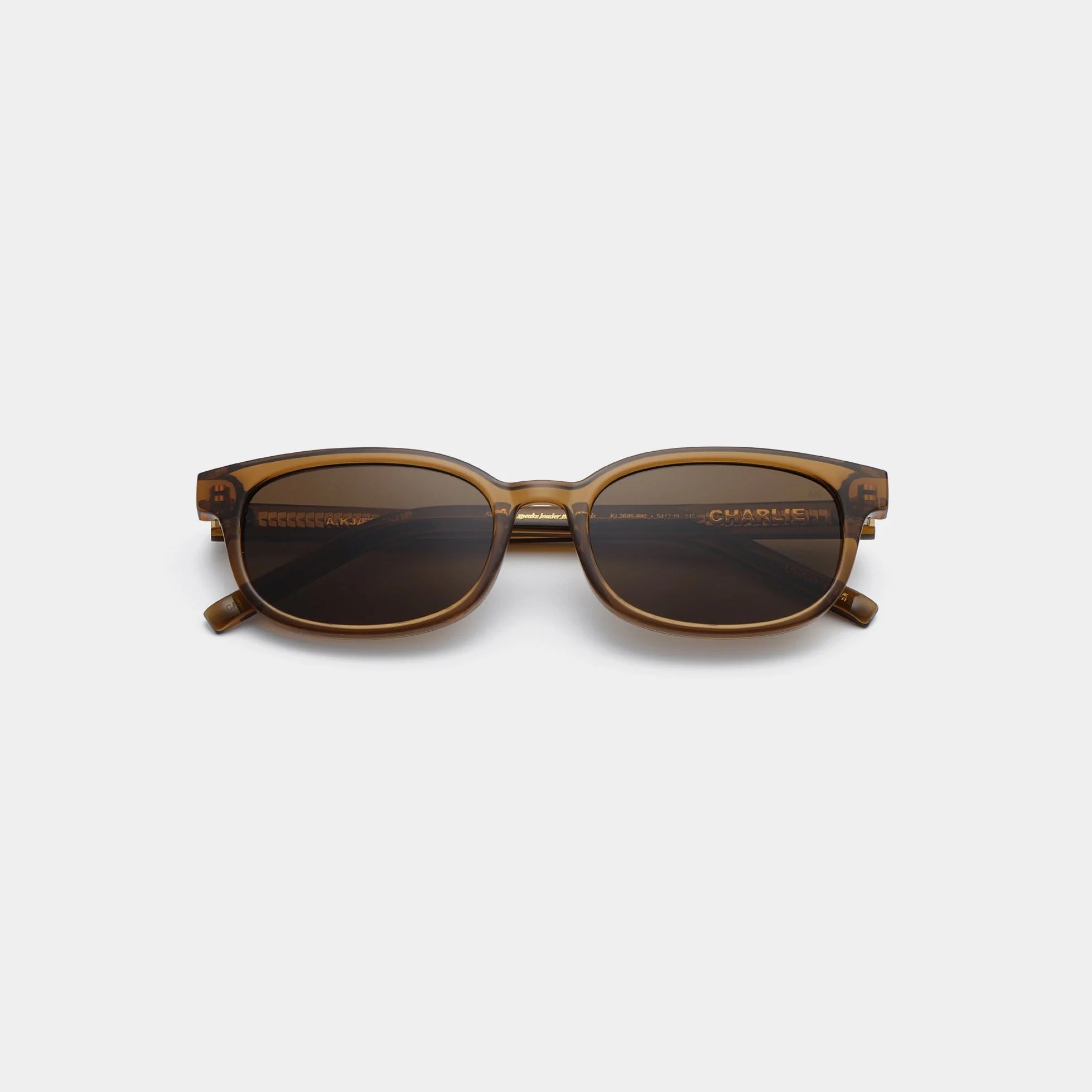 A.KJÆRBEDE CHARLIE Classic Rectangle Sunglasses - Smoke Transparent - Image 5