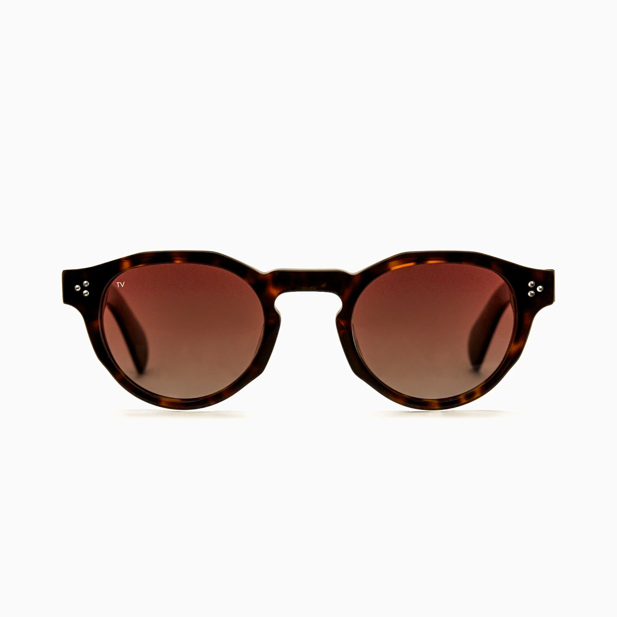 AURA Polarised Sunglasses Unisex Tortoise | TrueVivid - Image 3