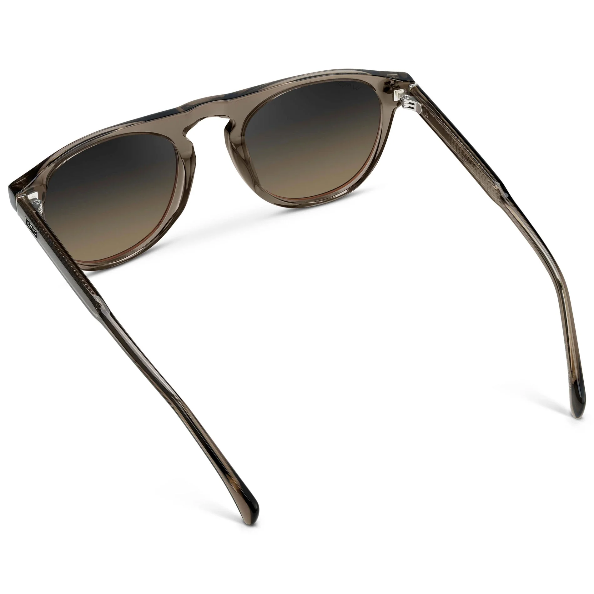 AXEL Rounded Aviator Polarized Sunglasses by WMP Eyewear - Image 5