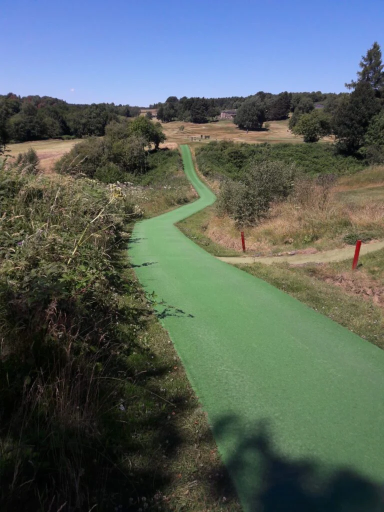 County Premium Pathway Turf - Image 3