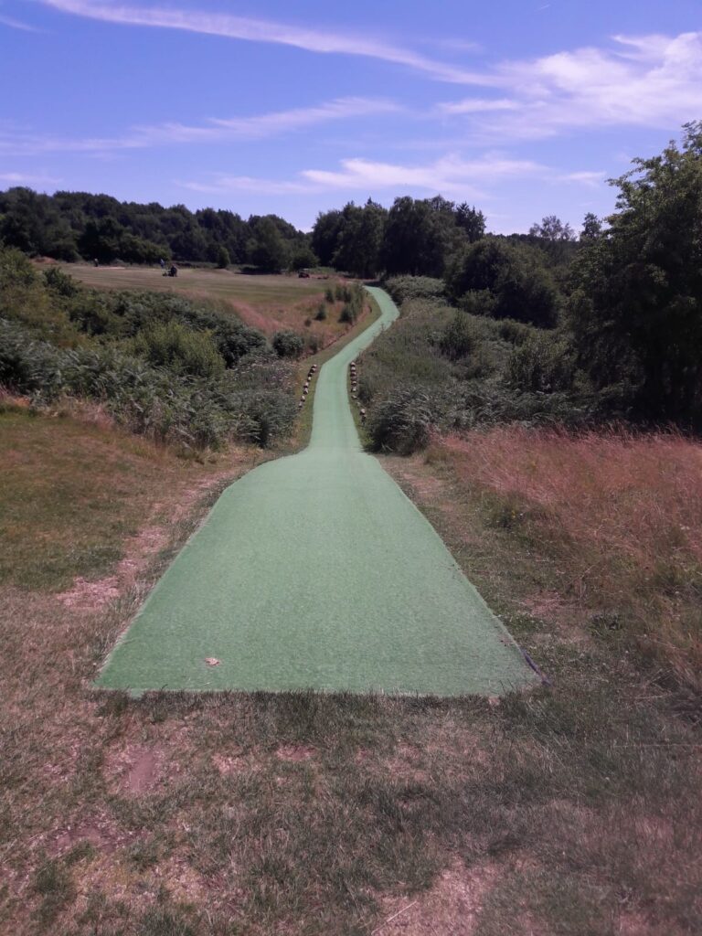 County Premium Pathway Turf - Image 4