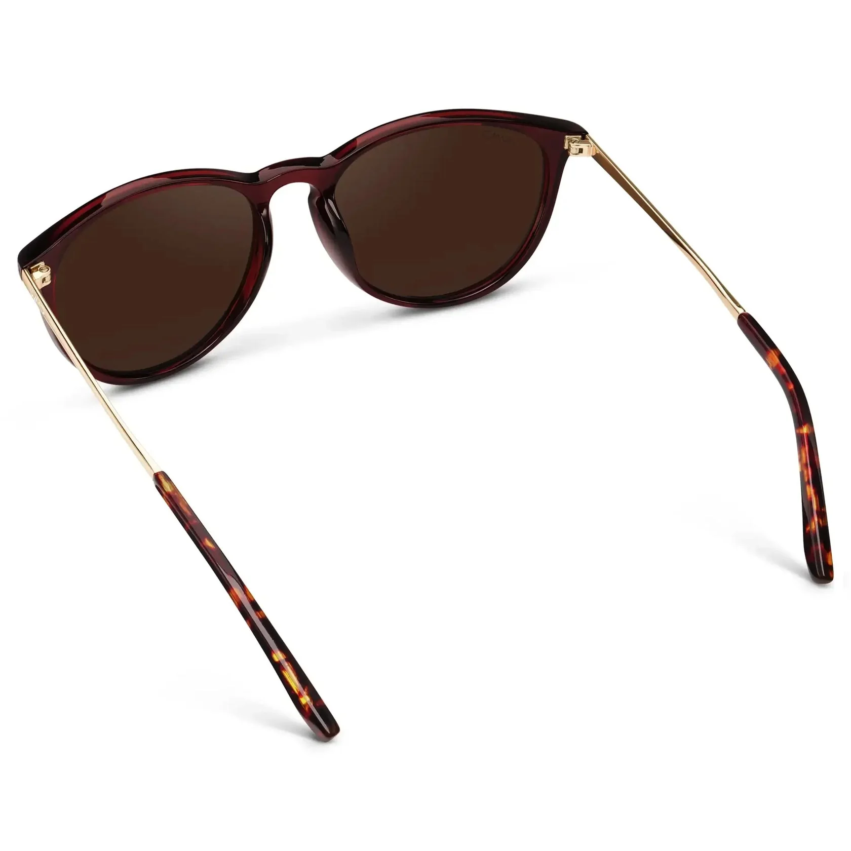 DREW Round Polarised Women's Sunglasses in Cherry Red/Gold by WMP Eyewear - Image 5