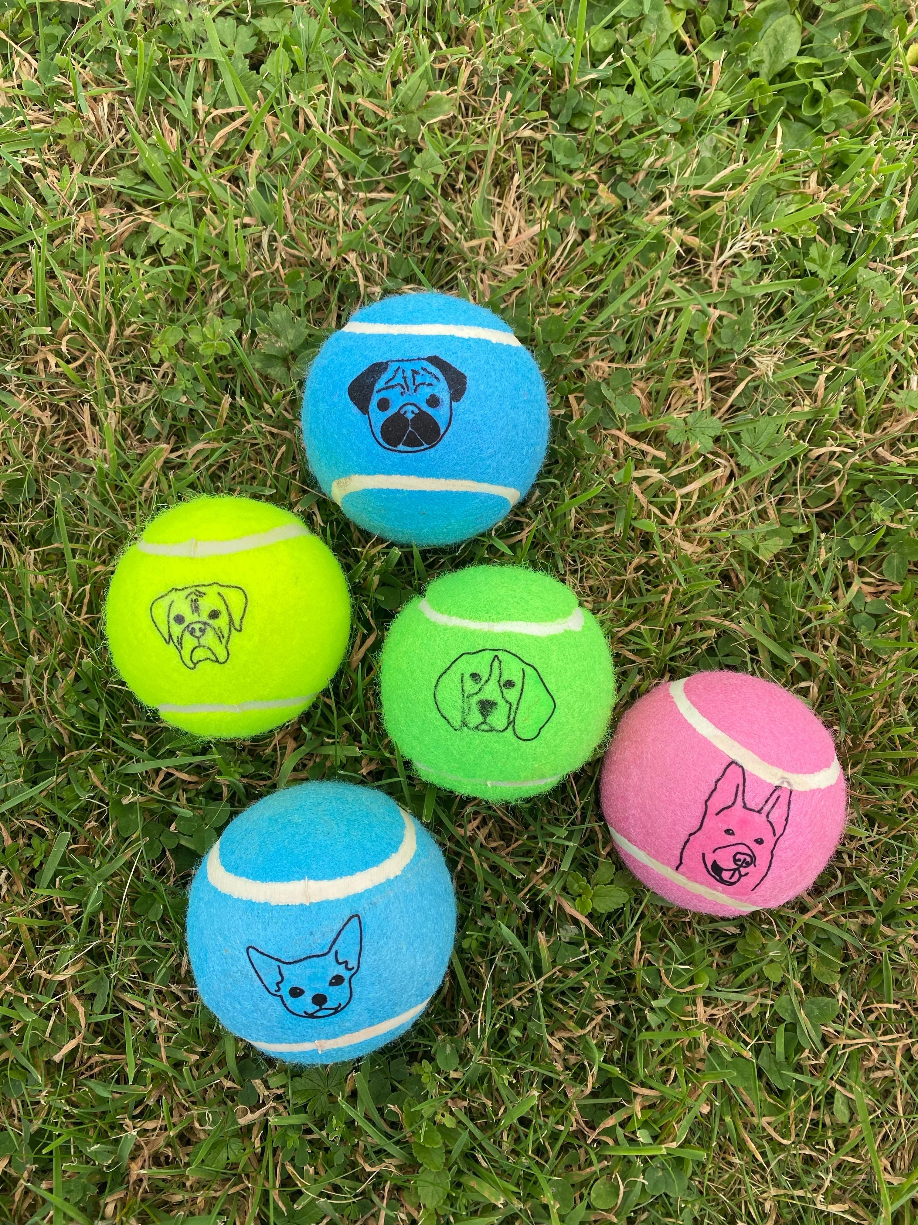 Personalised Dog Tennis Balls – Custom Face & Name Set